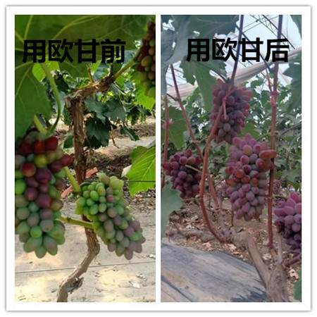 文章附图